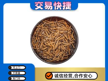 鄂州高价回收散虫草